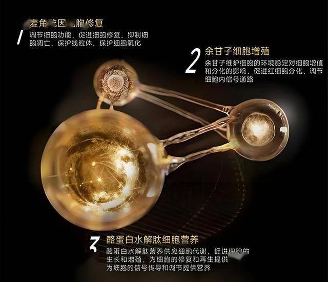 2021年中国银行春节上班时间一览 中国银行春节营业时间表